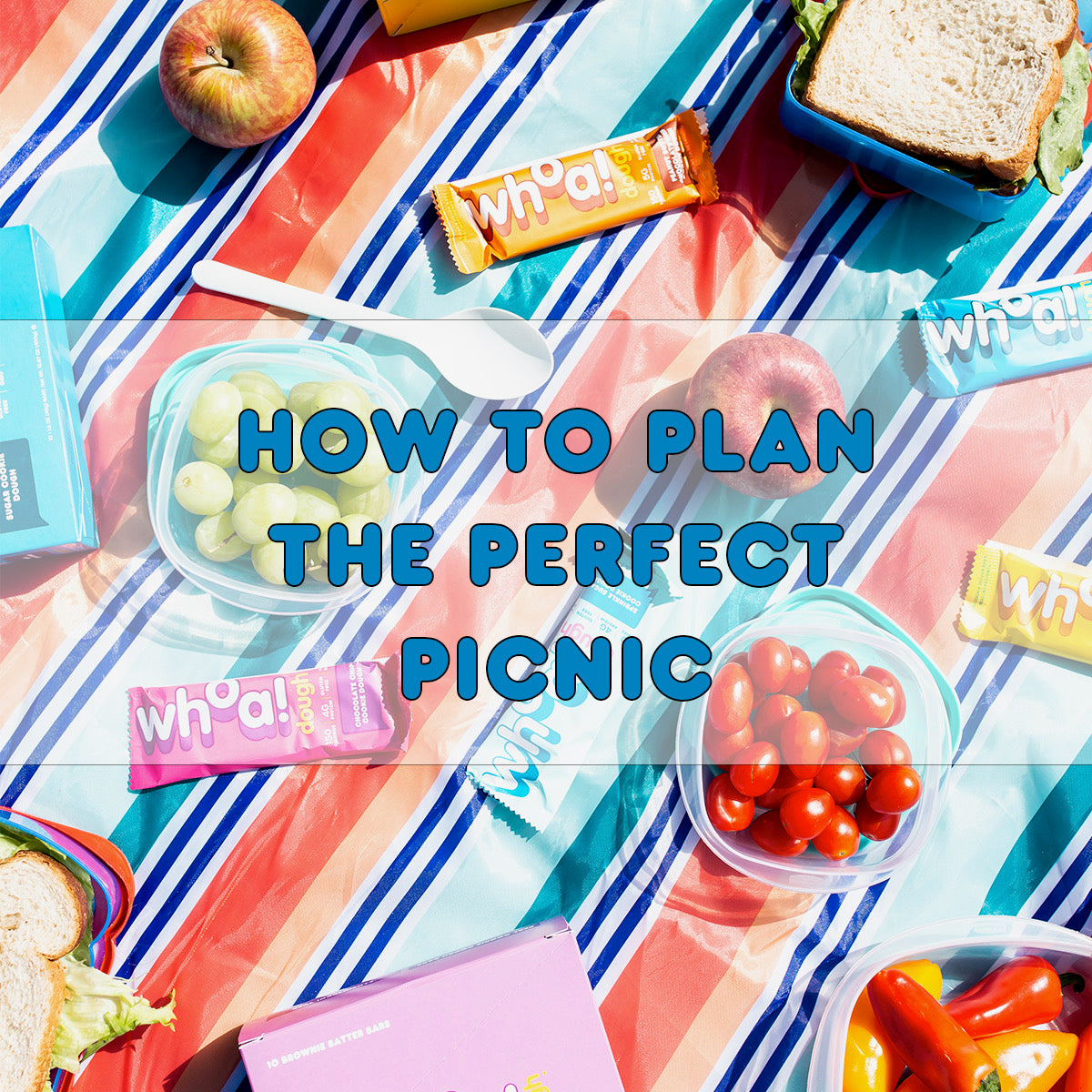 How to Plan the Perfect Picnic